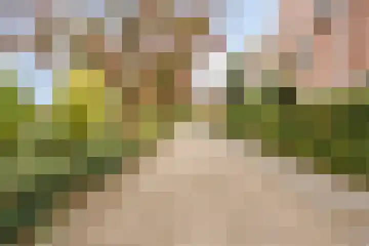 Hondiusdomein 8 Maastricht thumbnail 44