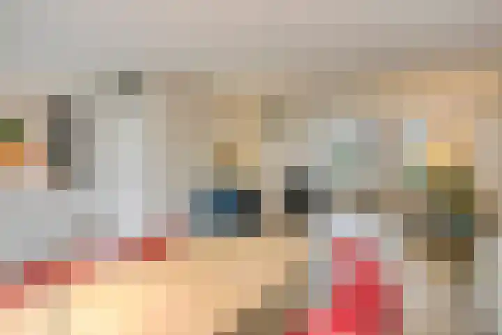 Hondiusdomein 8 Maastricht thumbnail 8
