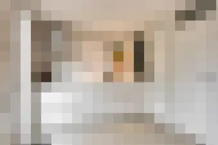 Hondiusdomein 8 Maastricht thumbnail 9