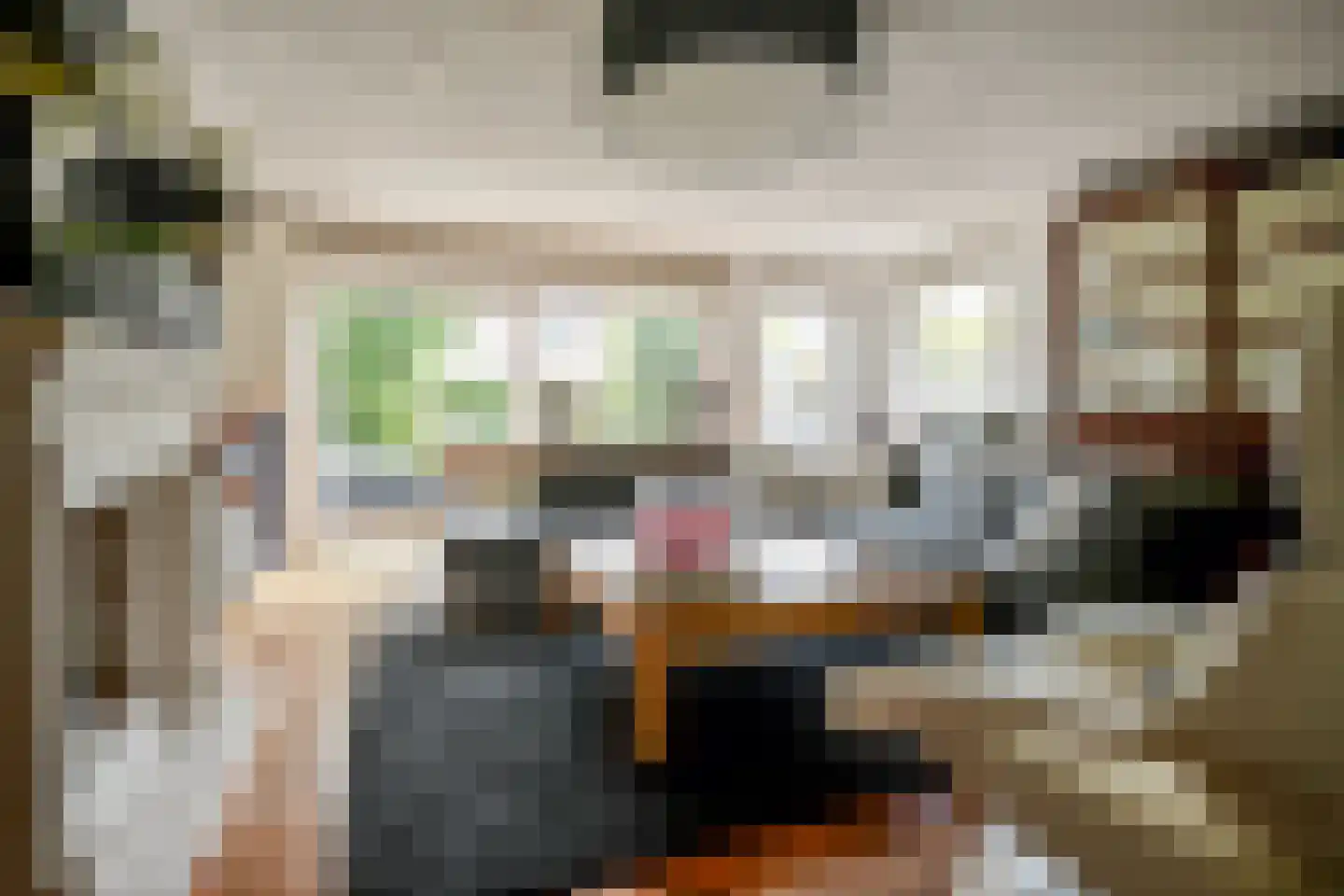 Hondiusdreef 12 Bergschenhoek thumbnail 10