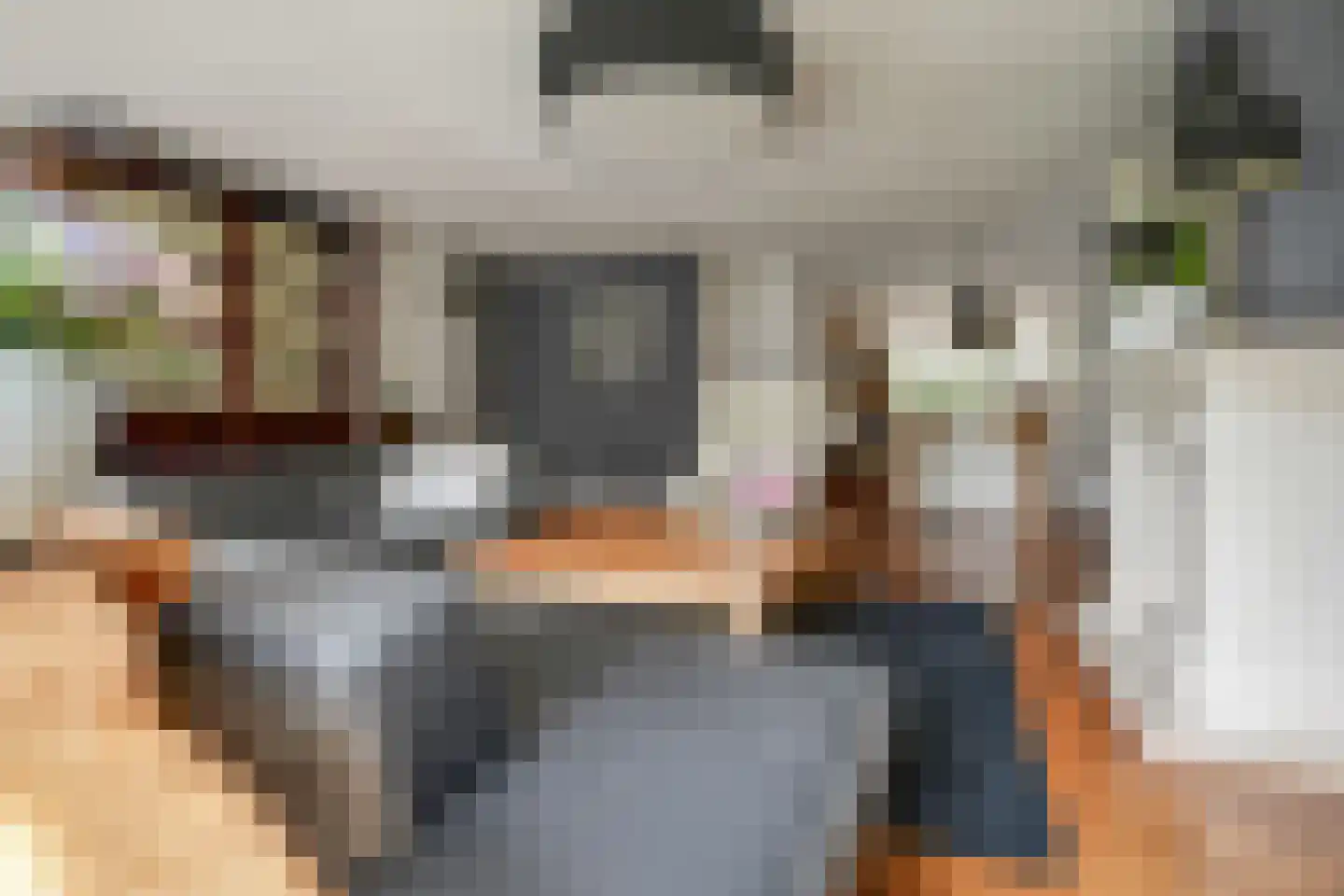 Hondiusdreef 12 Bergschenhoek thumbnail 11