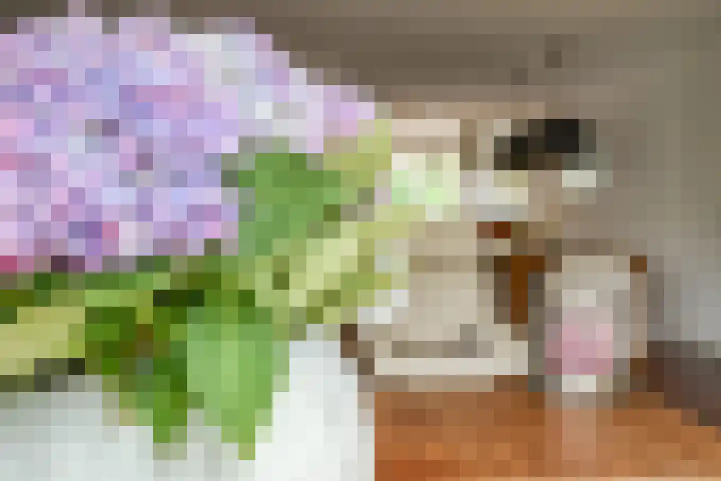 Hondiusdreef 12 Bergschenhoek thumbnail 13