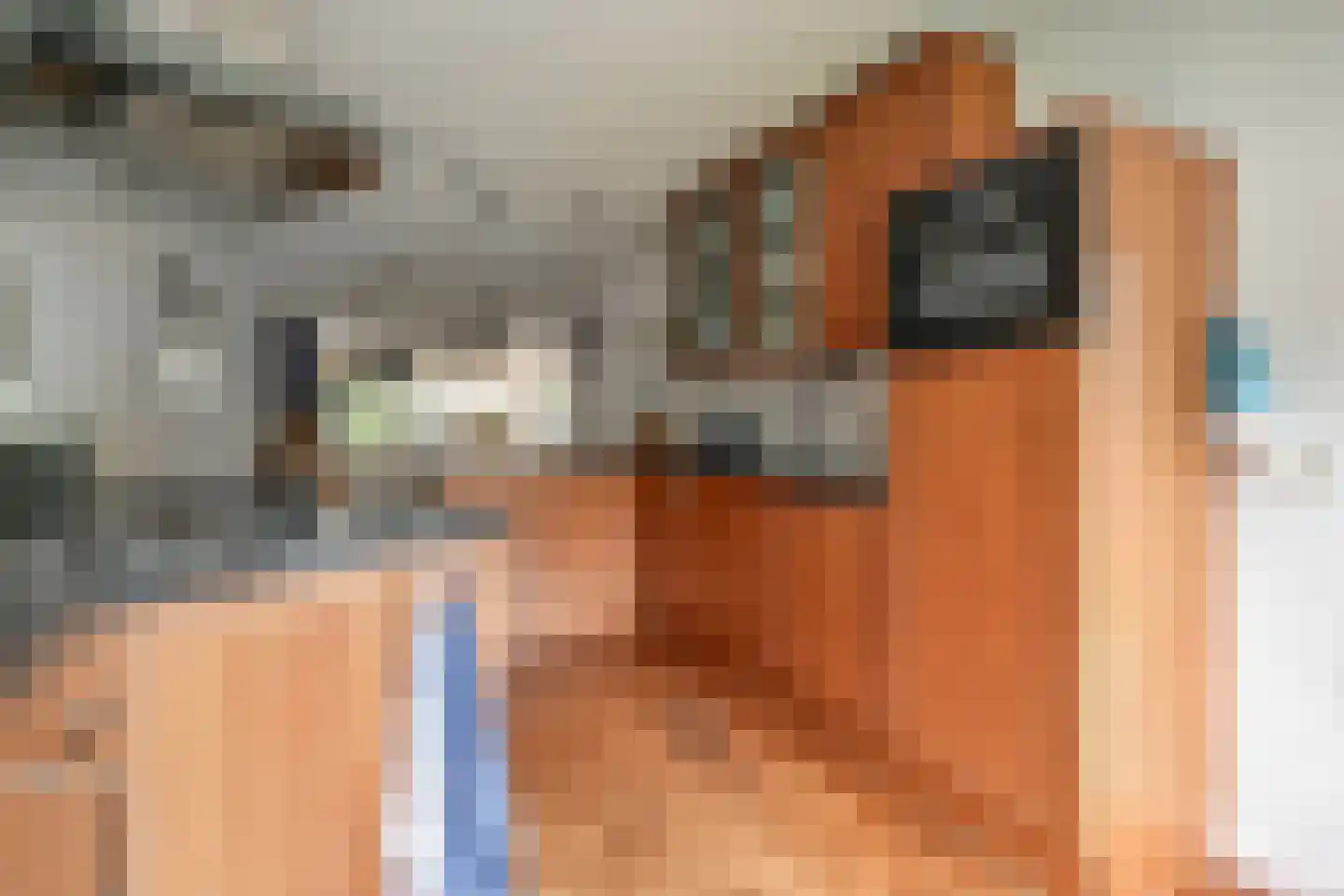 Hondiusdreef 12 Bergschenhoek thumbnail 19