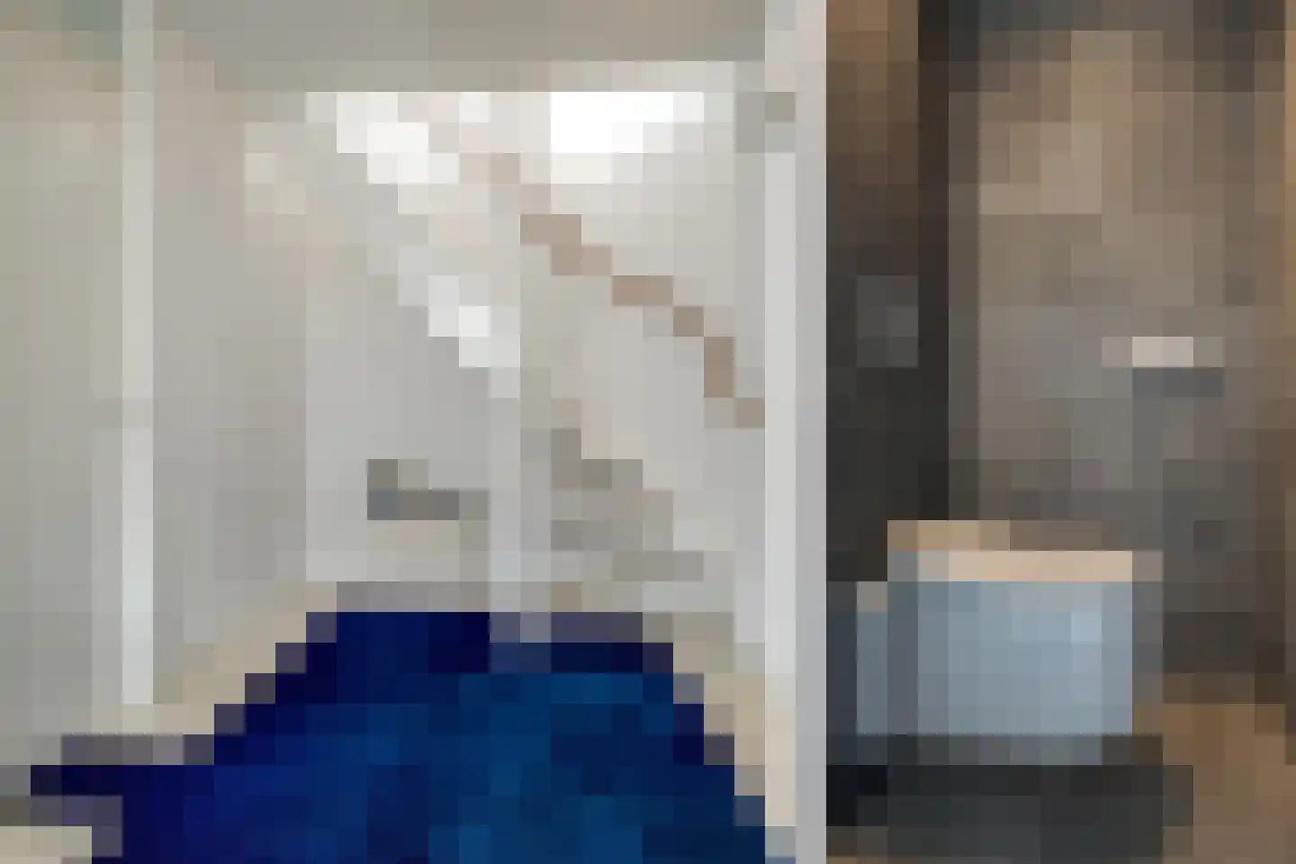 Hondiusdreef 12 Bergschenhoek thumbnail 21