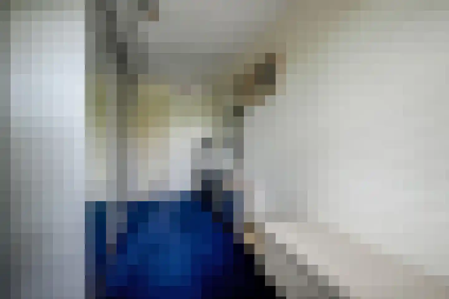 Hondiusdreef 12 Bergschenhoek thumbnail 25