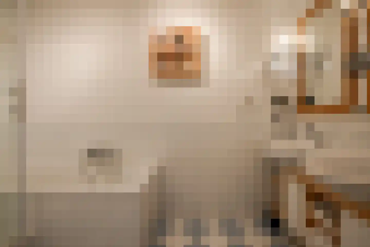 Hondiusdreef 12 Bergschenhoek thumbnail 27