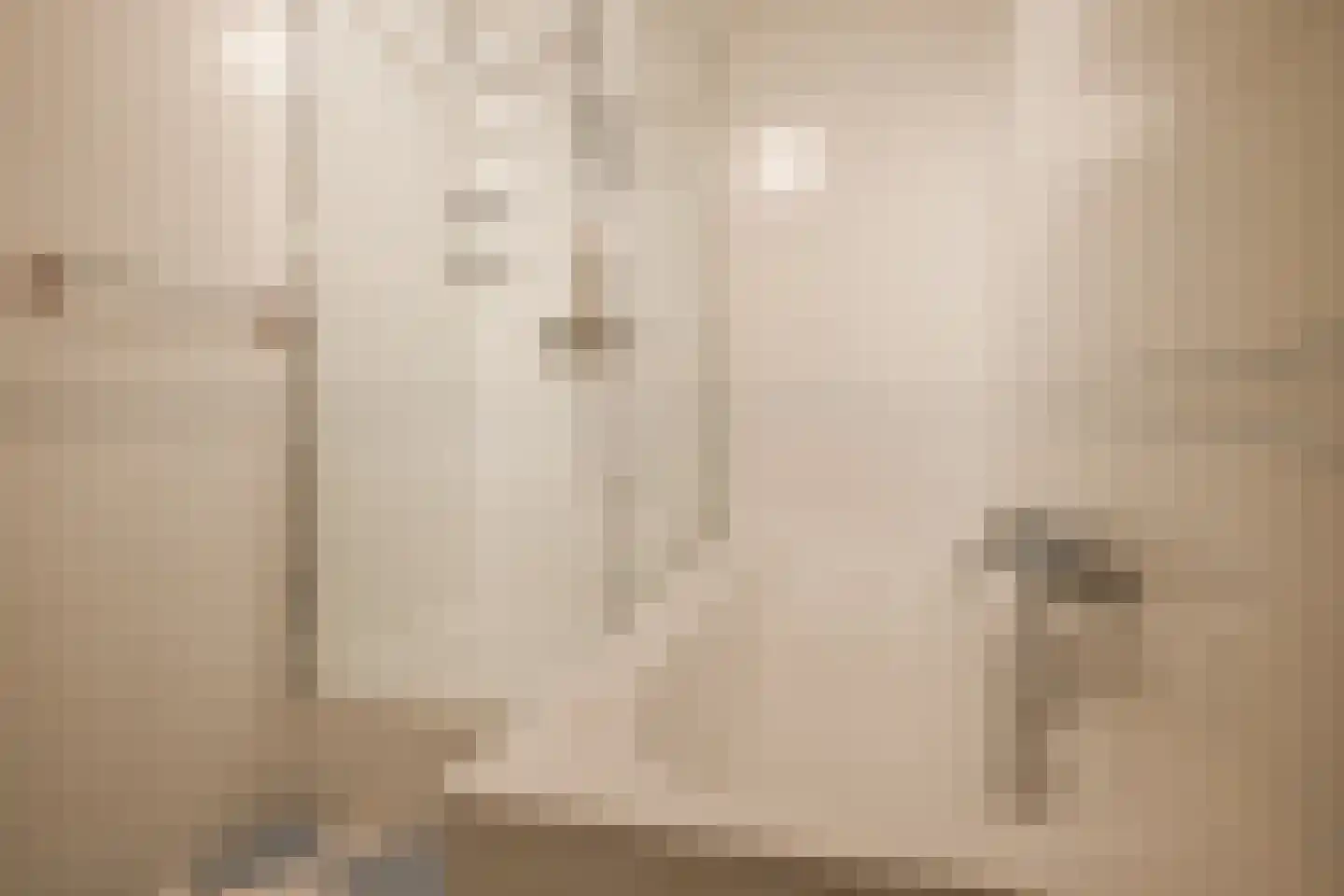 Hondiusdreef 12 Bergschenhoek thumbnail 28