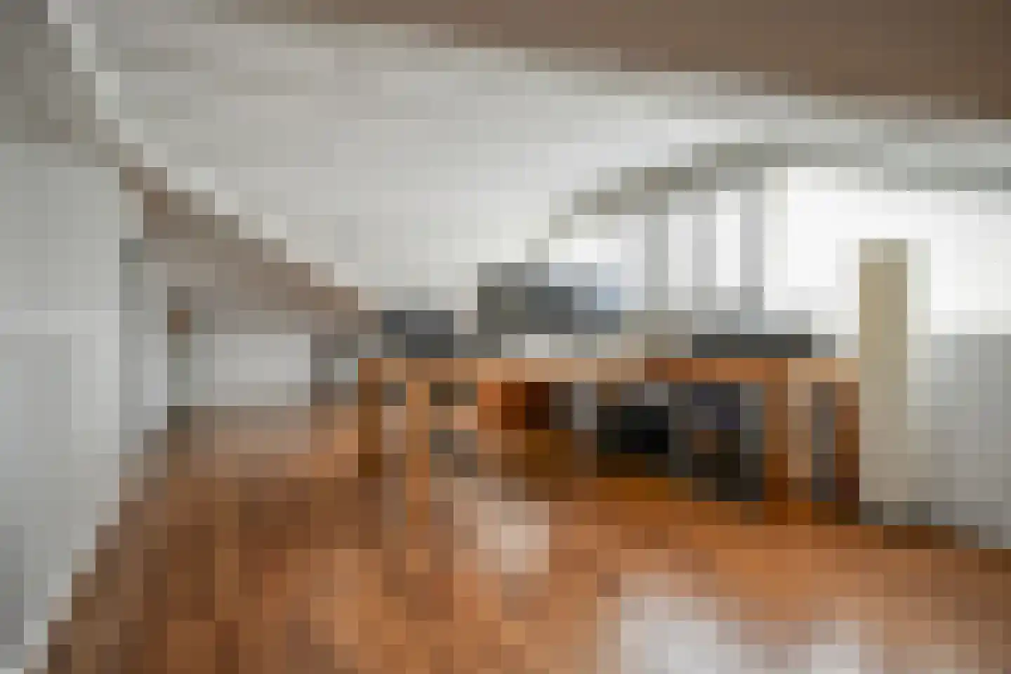 Hondiusdreef 12 Bergschenhoek thumbnail 30