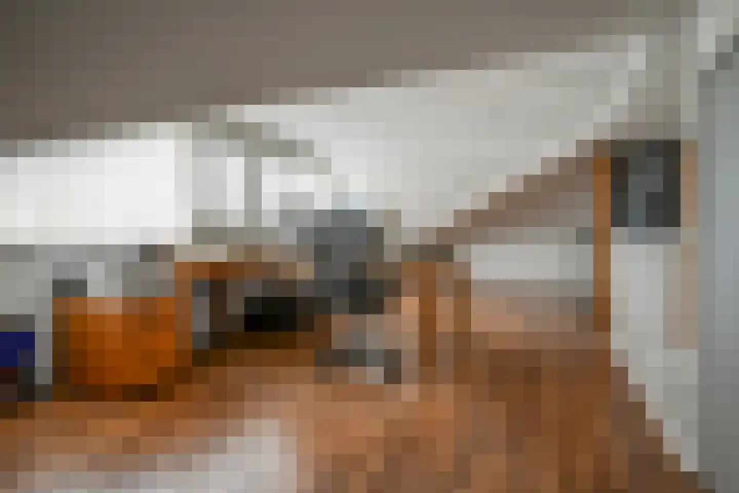 Hondiusdreef 12 Bergschenhoek thumbnail 31