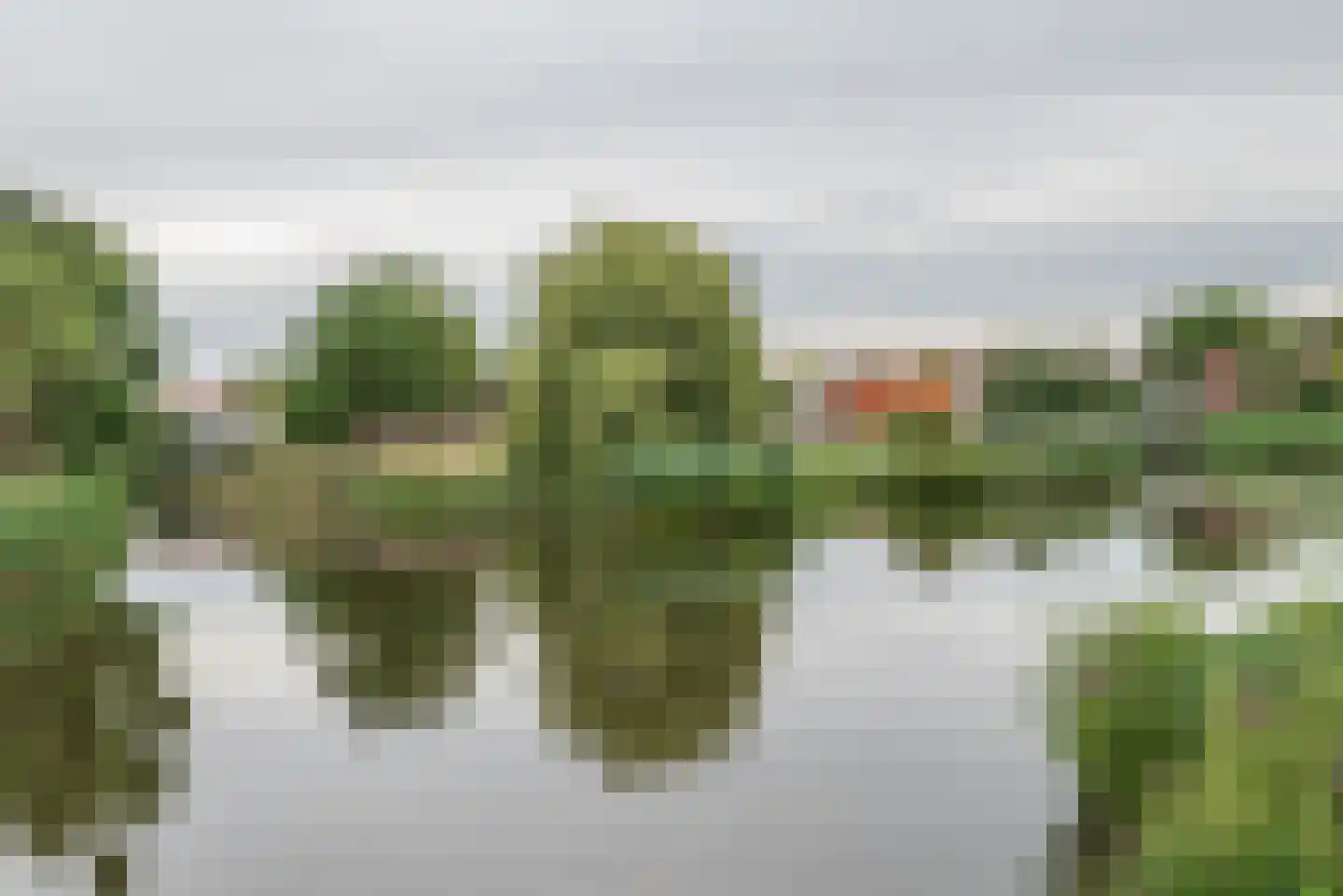 Hondiusdreef 12 Bergschenhoek thumbnail 45