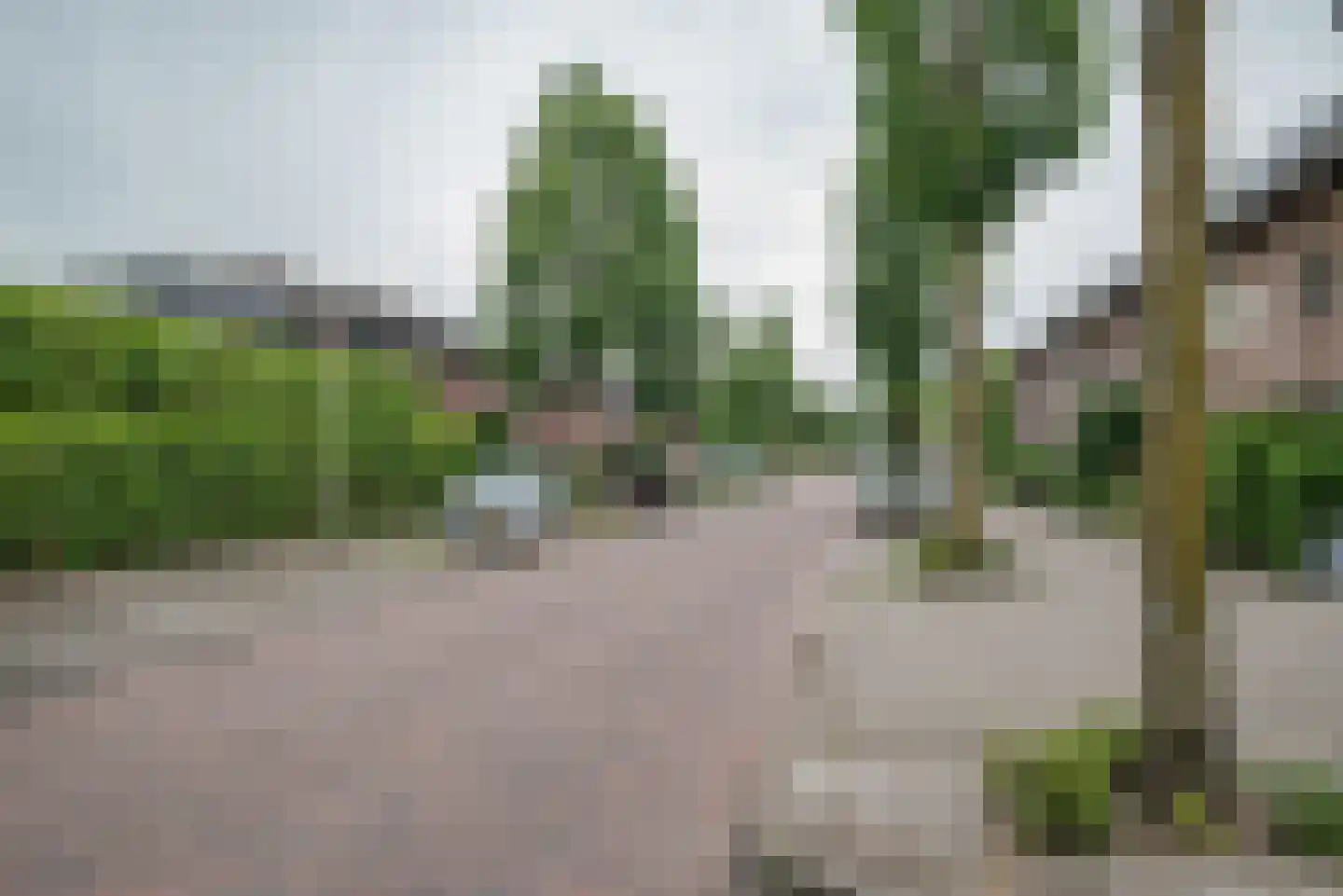 Hondiusdreef 12 Bergschenhoek thumbnail 47