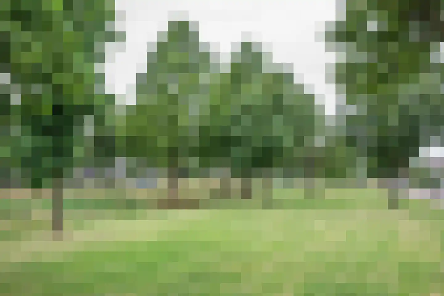 Hondiusdreef 12 Bergschenhoek thumbnail 48