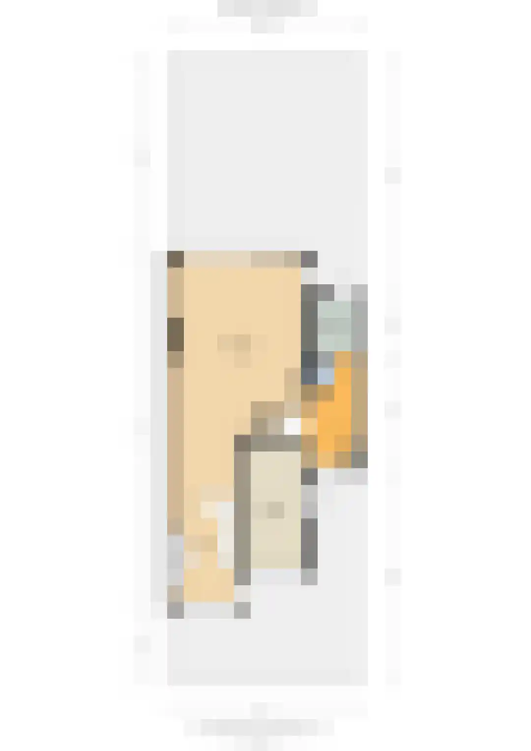 Hondiusdreef 12 Bergschenhoek thumbnail 54