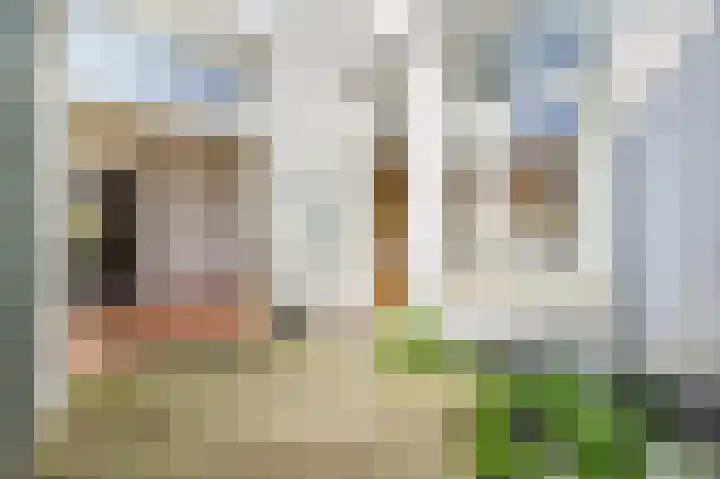 Hondiusstraat 1 Den Haag thumbnail 22