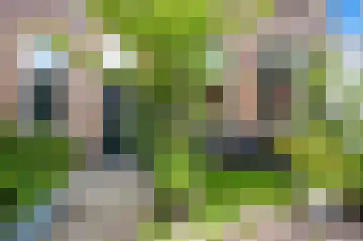 Hondiusstraat 1 Den Haag thumbnail 5