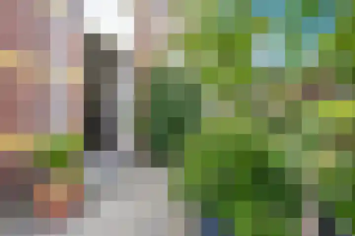 Hondiusstraat 1 Den Haag thumbnail 6