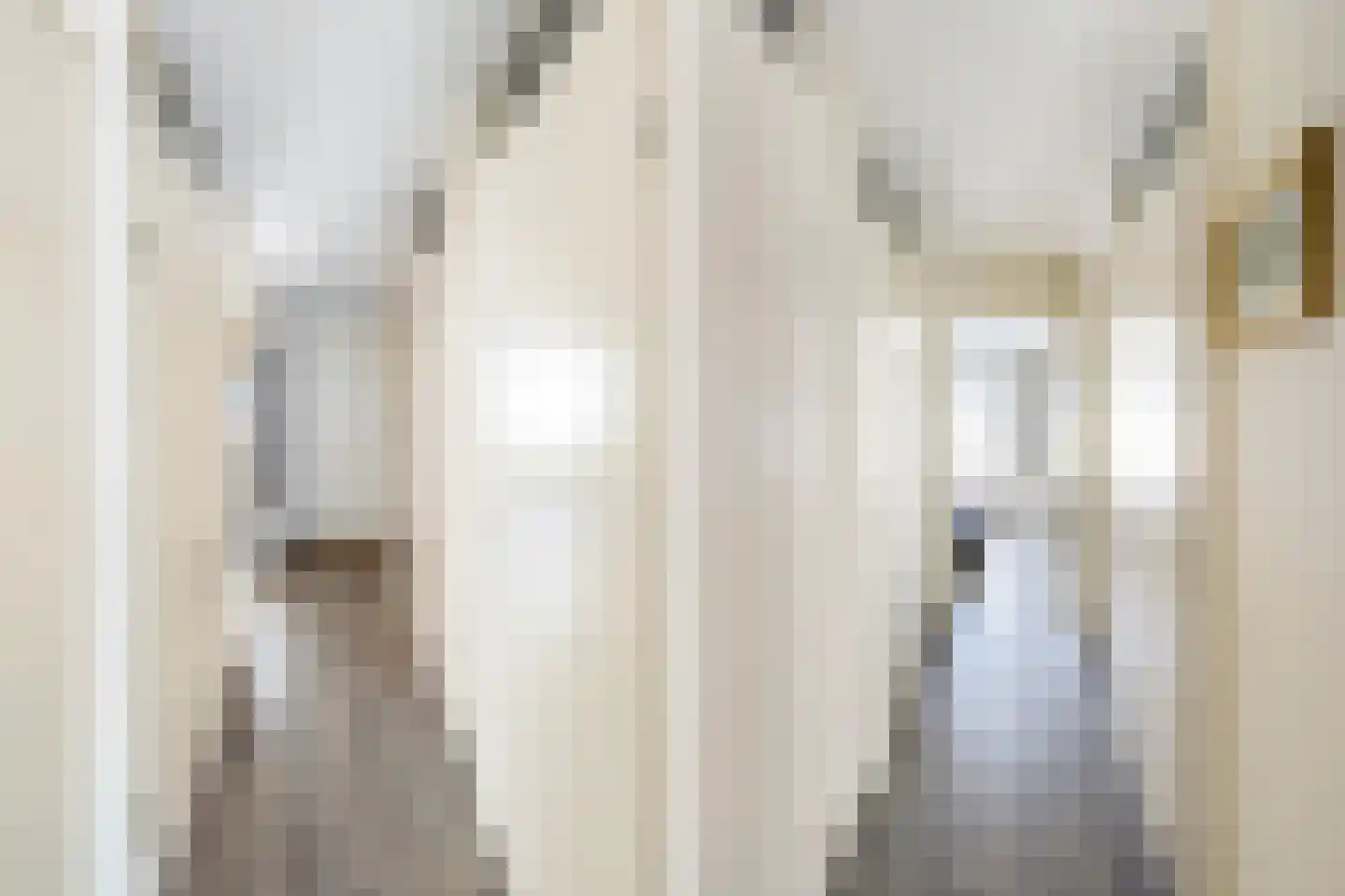 Hondiusstraat 10 B Rotterdam thumbnail 23