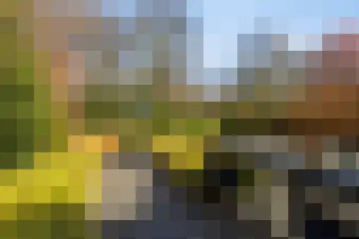 Hondiusstraat 11 Maarssen thumbnail 40