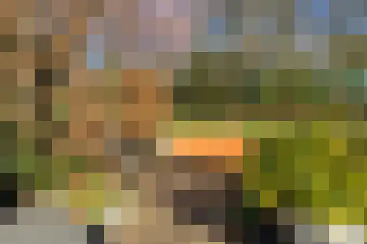 Hondiusstraat 11 Maarssen thumbnail 41