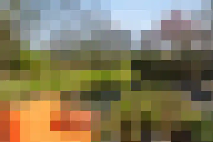 Hondiusstraat 11 Maarssen thumbnail 42