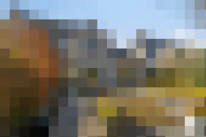 Hondiusstraat 11 Maarssen thumbnail 44
