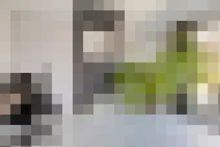 Hondiusstraat 11 Maarssen thumbnail 9