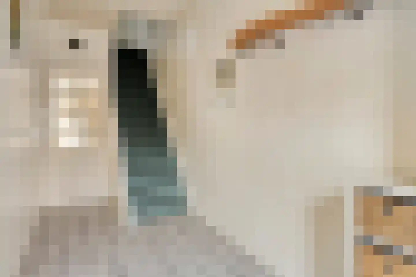 Hondiusstraat 11 Terneuzen thumbnail 20