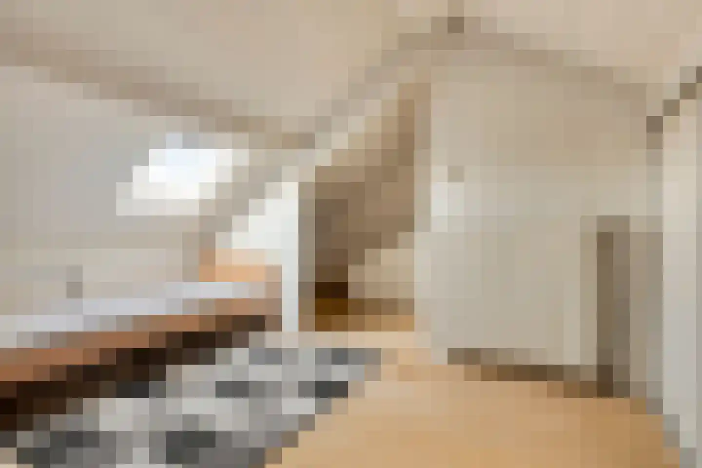 Hondiusstraat 11 Terneuzen thumbnail 27