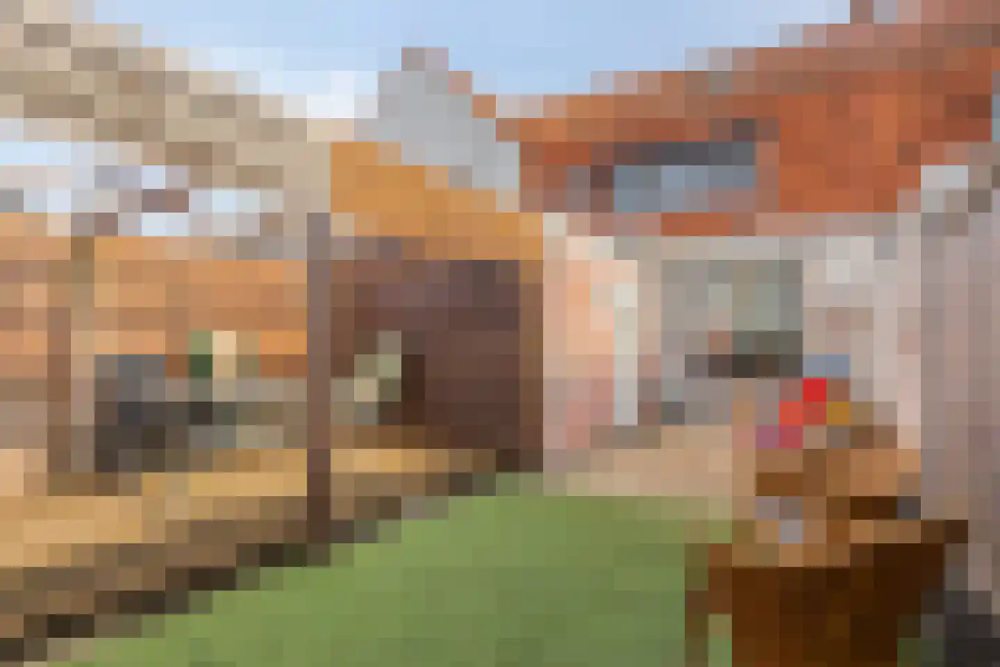 Hondiusstraat 11 Terneuzen thumbnail 29