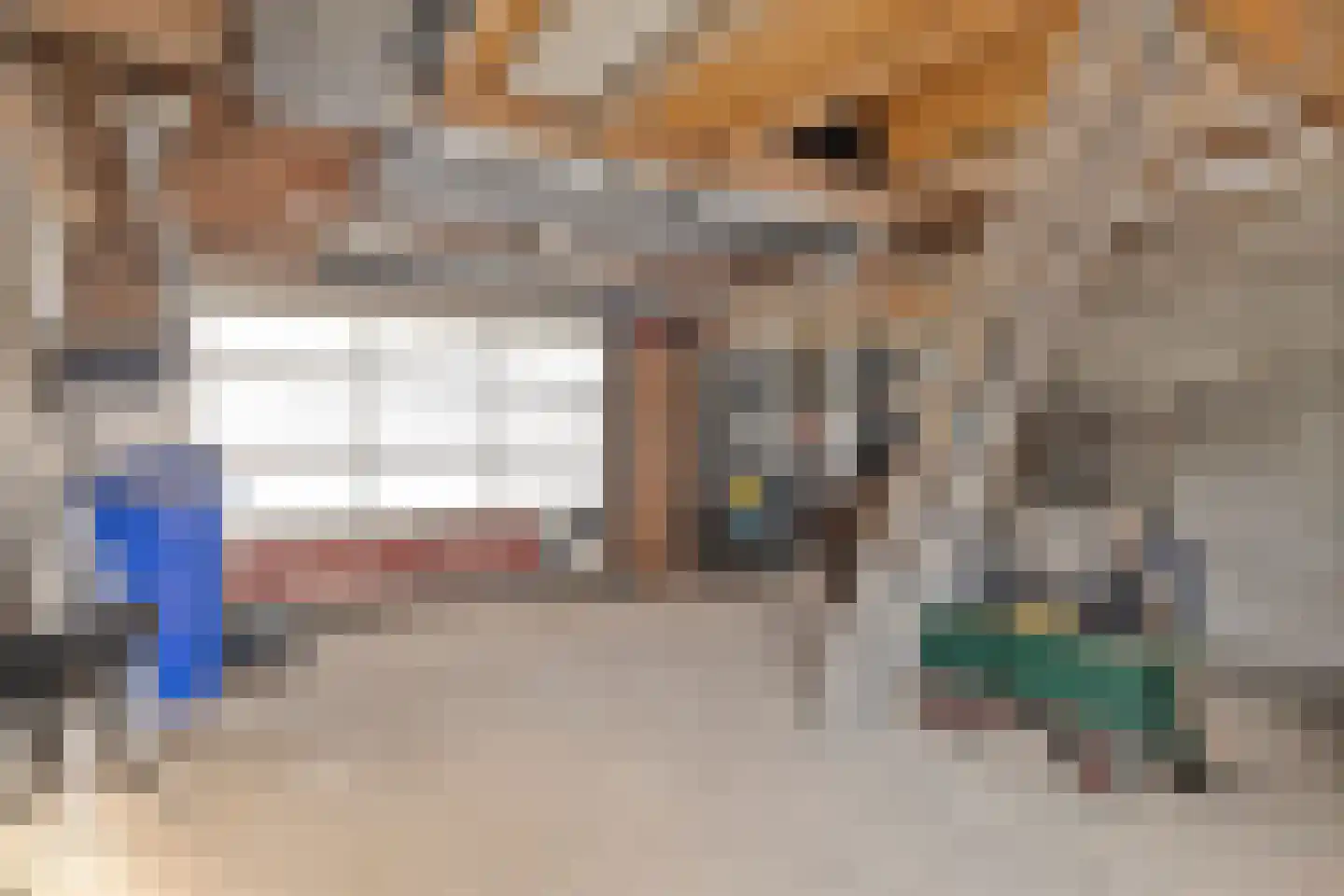 Hondiusstraat 11 Terneuzen thumbnail 31
