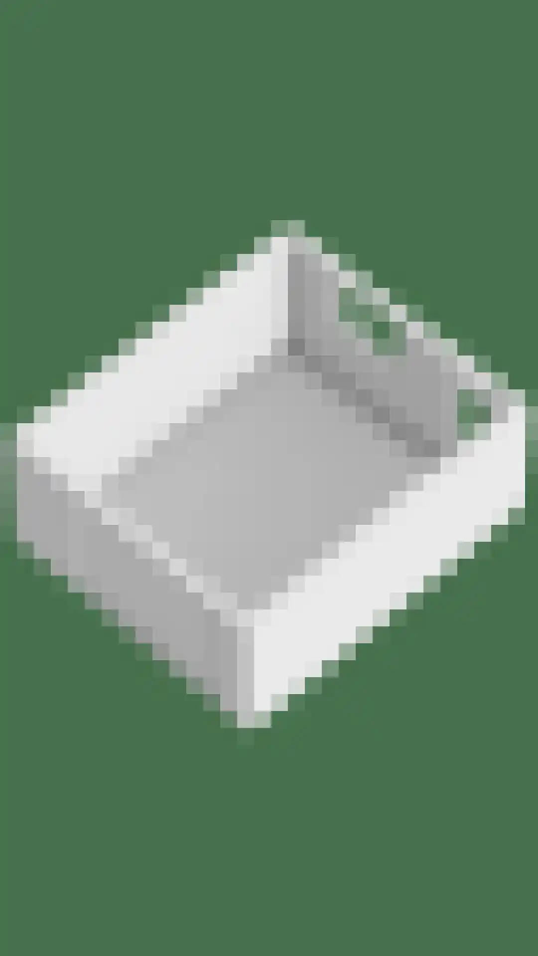 Hondiusstraat 11 Terneuzen thumbnail 42