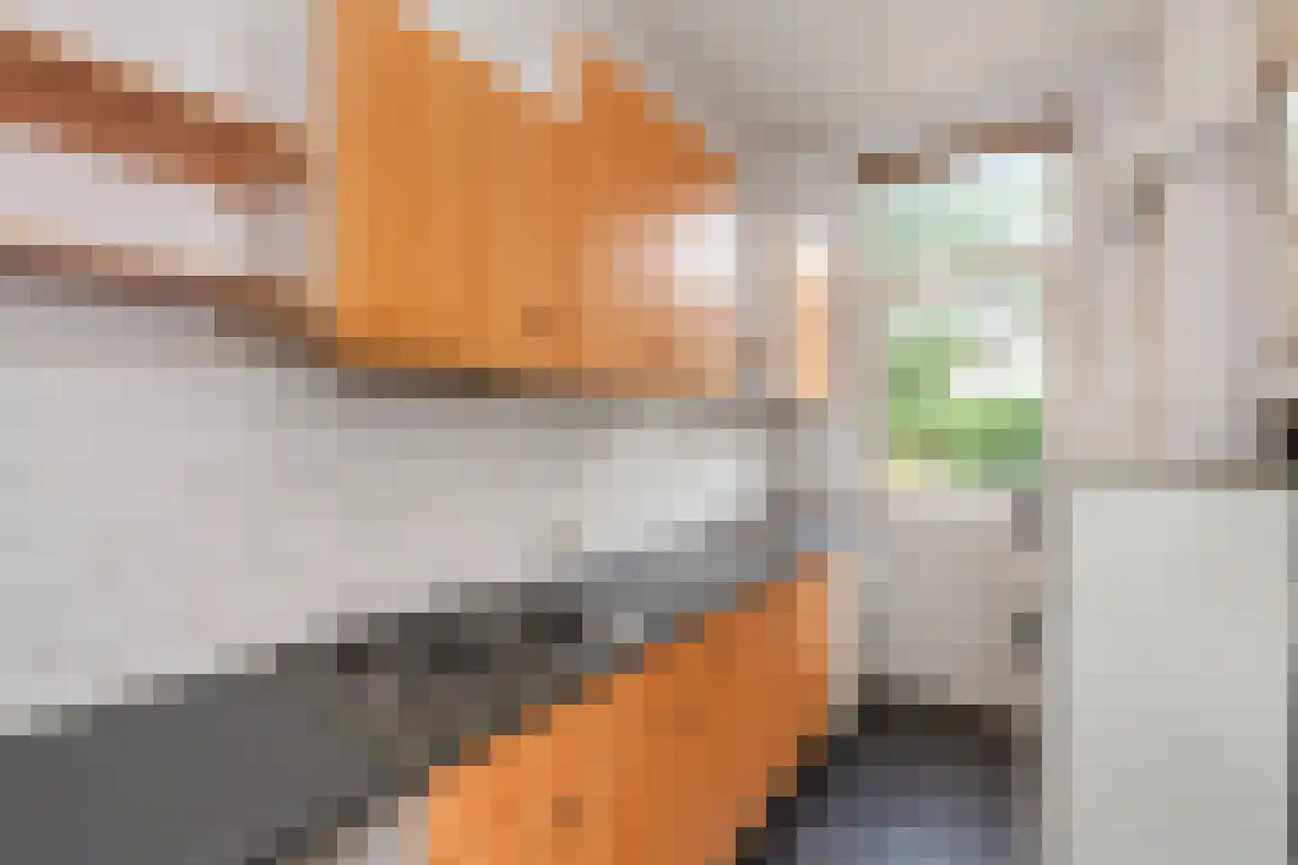 Hondiusstraat 13 B Rotterdam thumbnail 13