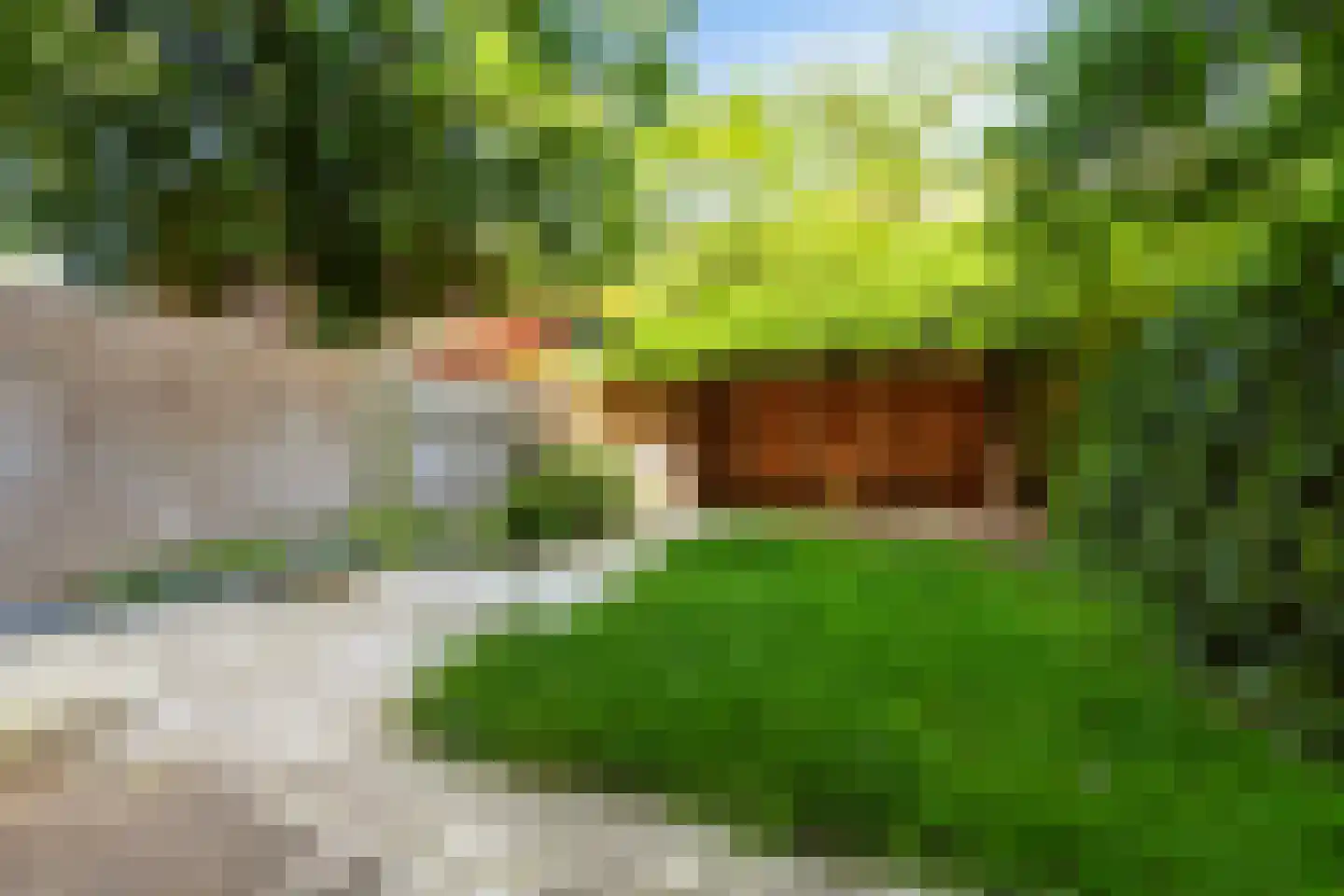 Hondiusstraat 13 B Rotterdam thumbnail 14