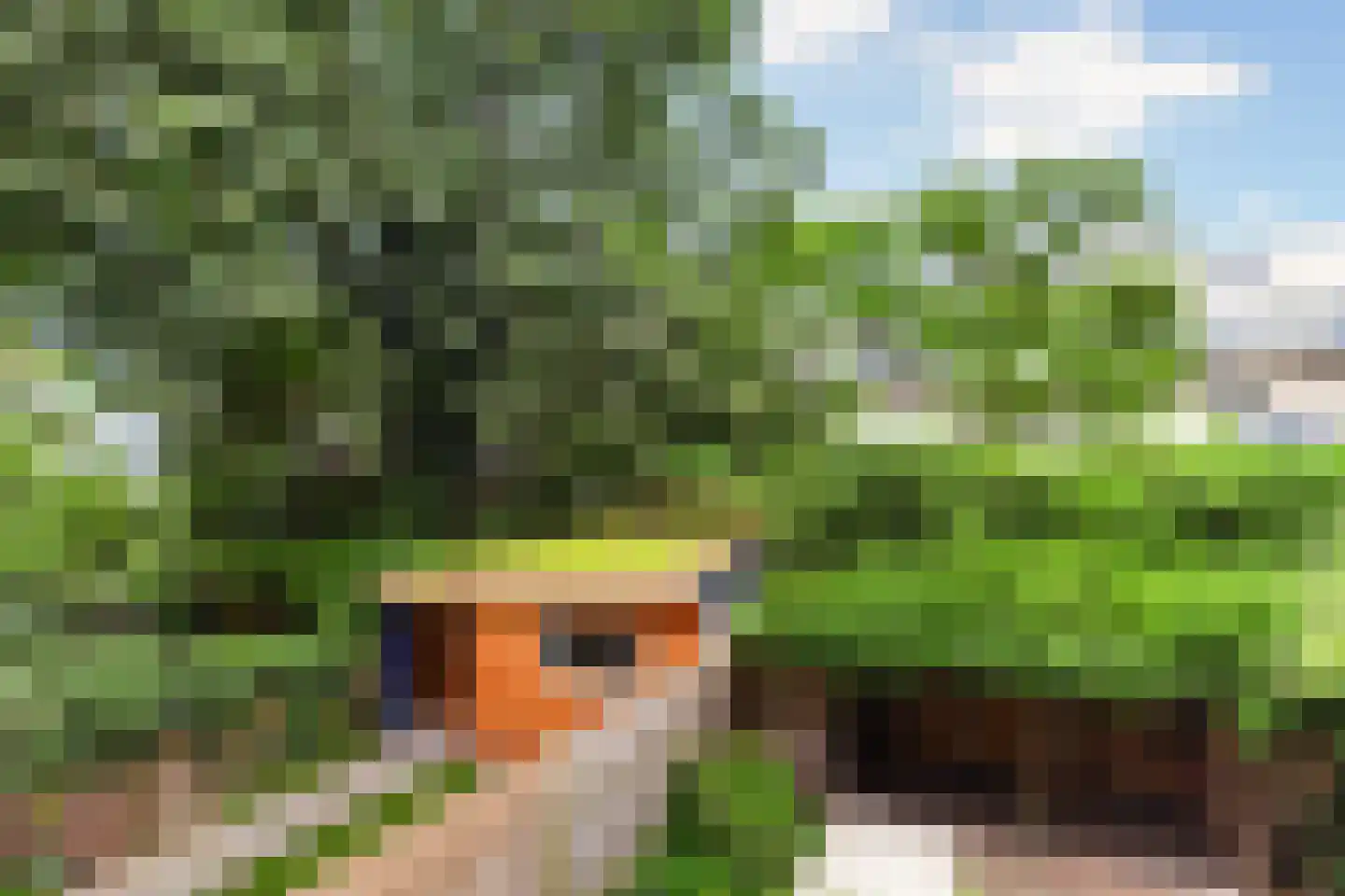 Hondiusstraat 13 B Rotterdam thumbnail 17