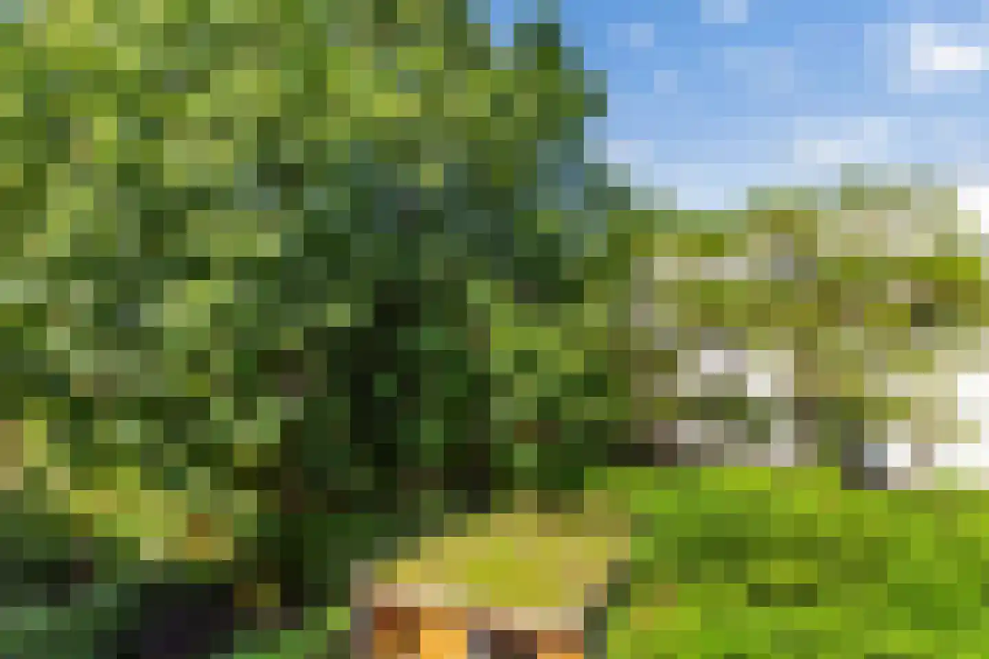 Hondiusstraat 13 D Rotterdam thumbnail 17
