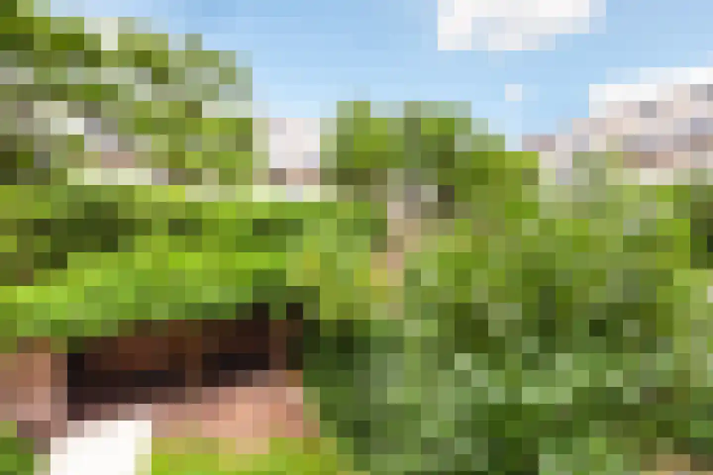 Hondiusstraat 13 D Rotterdam thumbnail 18