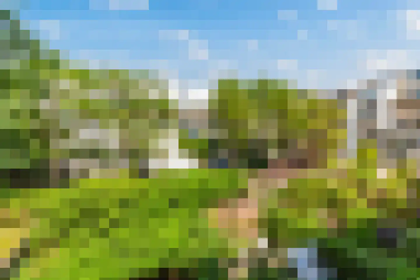 Hondiusstraat 13 D Rotterdam thumbnail 18