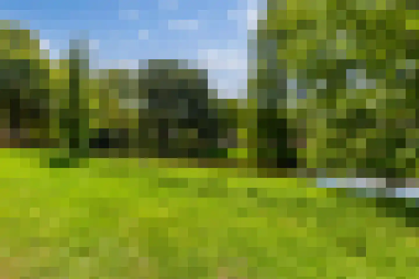 Hondiusstraat 13 D Rotterdam thumbnail 19