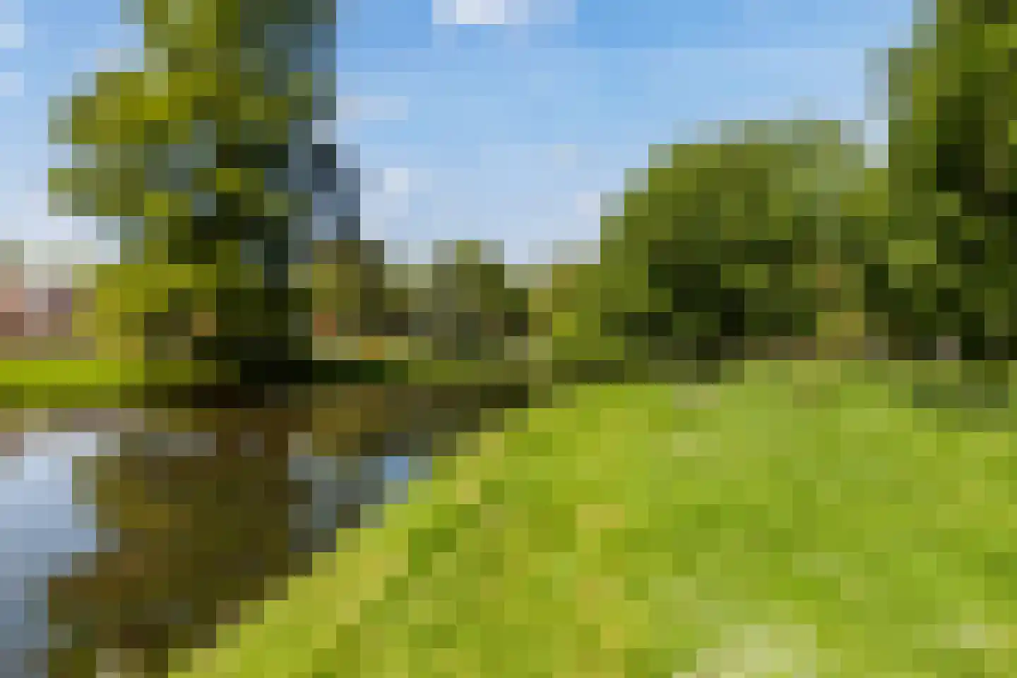 Hondiusstraat 13 D Rotterdam thumbnail 20