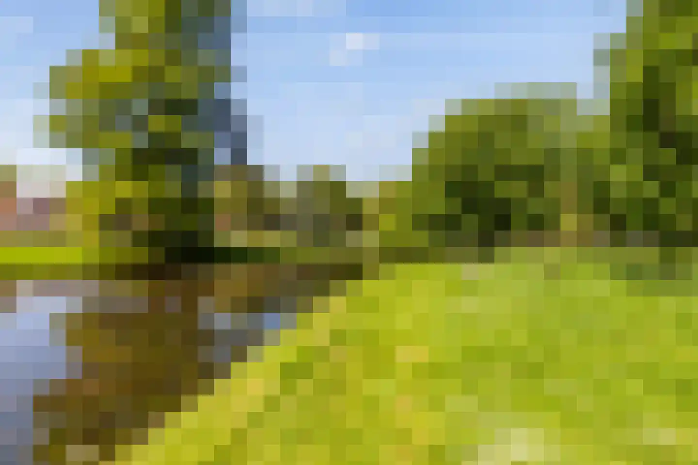 Hondiusstraat 13 D Rotterdam thumbnail 24