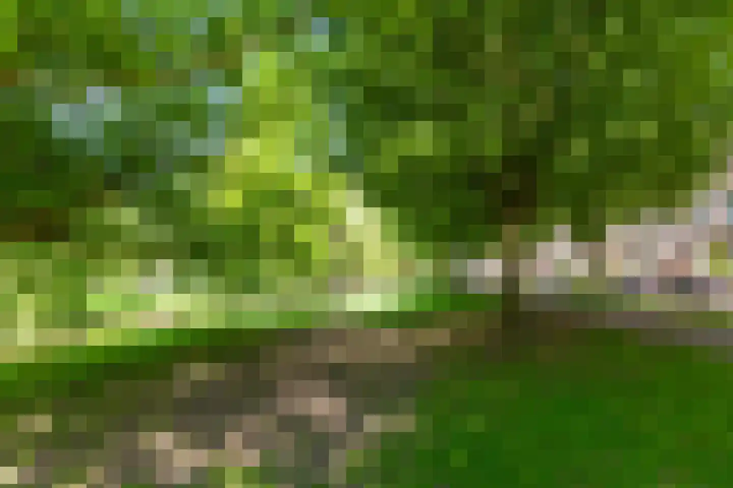 Hondiusstraat 13 D Rotterdam thumbnail 25