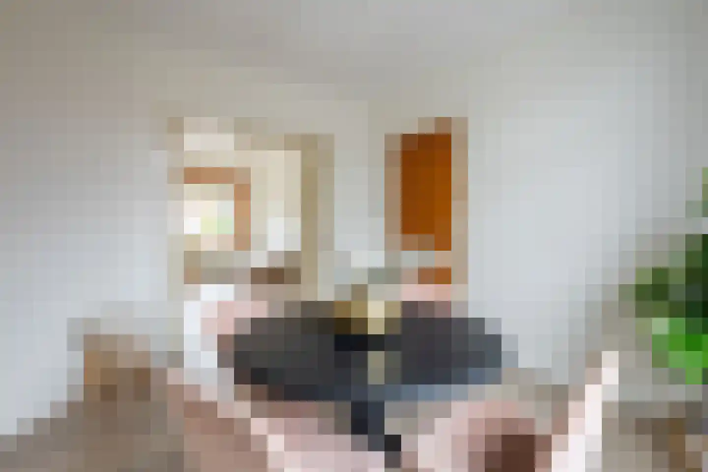Hondiusstraat 15 Terneuzen thumbnail 12