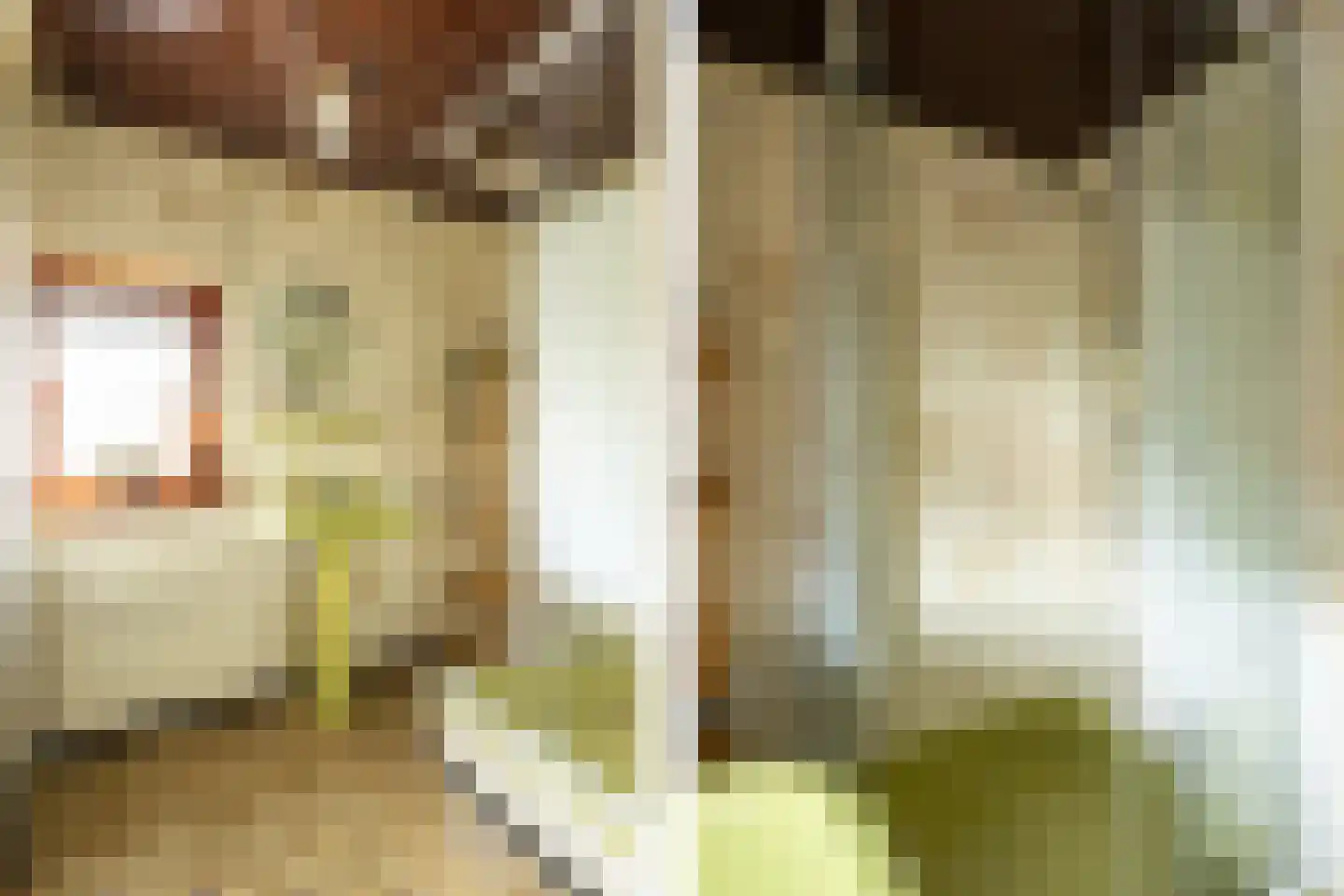Hondiusstraat 15 Terneuzen thumbnail 25