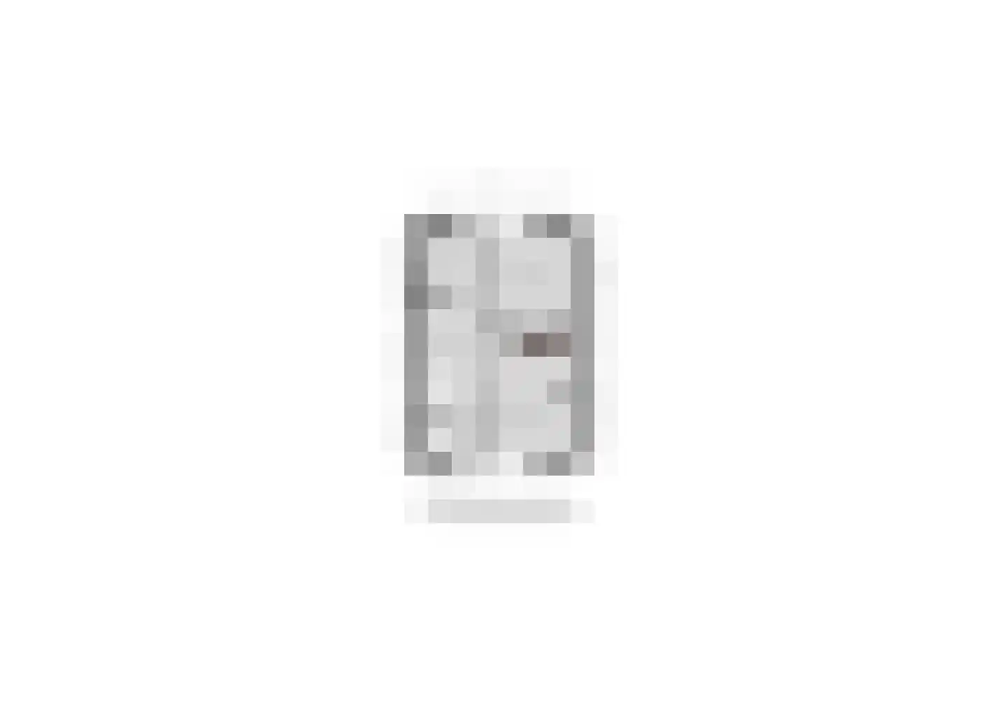 Hondiusstraat 15 Terneuzen thumbnail 36