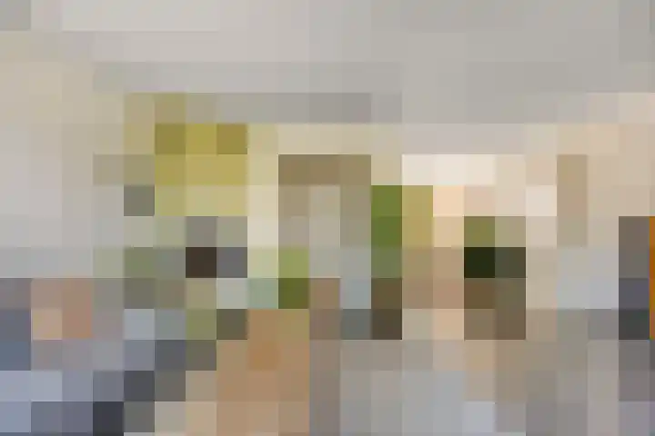 Hondiusstraat 25 Maarssen thumbnail 11