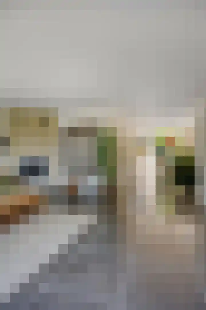 Hondiusstraat 25 Maarssen thumbnail 16