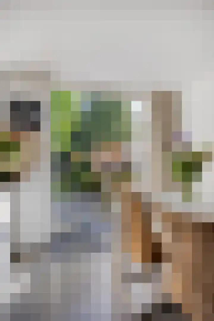 Hondiusstraat 25 Maarssen thumbnail 17