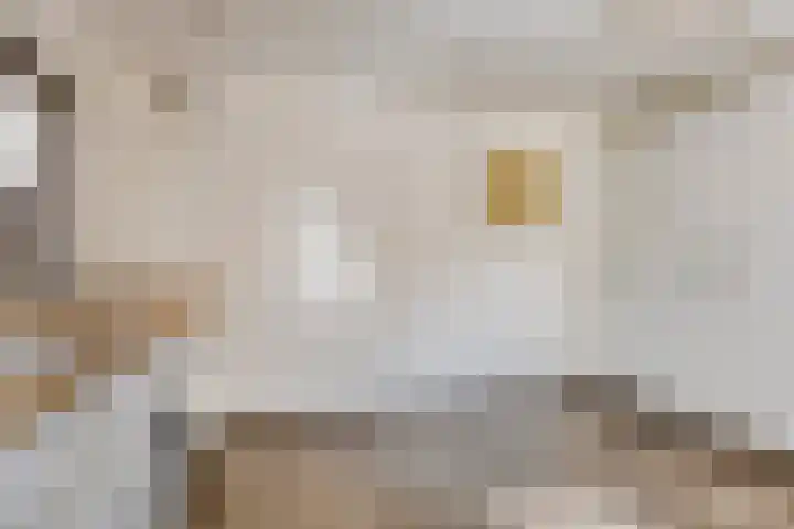 Hondiusstraat 25 Maarssen thumbnail 24
