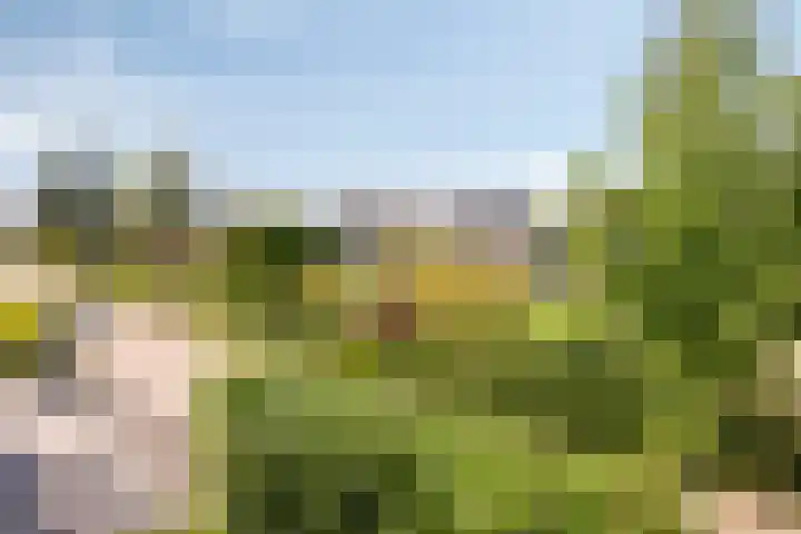 Hondiusstraat 25 Maarssen thumbnail 35