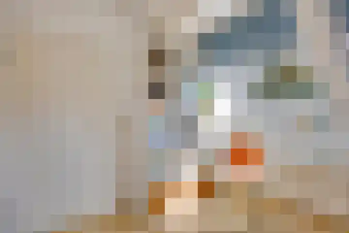 Hondiusstraat 25 Maarssen thumbnail 45
